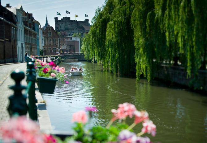 For Four Flat * Ghent